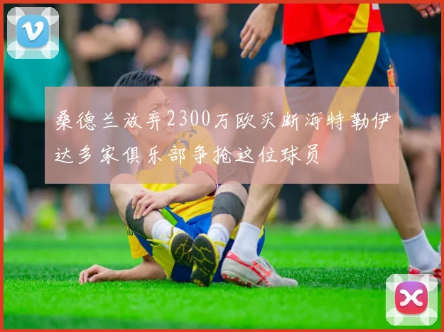 桑德兰放弃2300万欧买断海特勒伊达多家俱乐部争抢这位球员